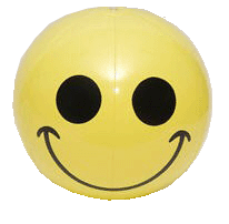 smileface.gif (18011 bytes)